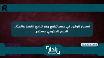 أسعار الوقود في مصر ترتفع رغم تراجع النفط عالميًا.. الدعم الحكومي مستمر